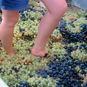 I Have Trodden the Winepress Alone by Elaine Schaat Williams