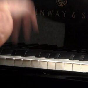 Best Musicians in the World by the Squires Best Musicians in the World by the Squires