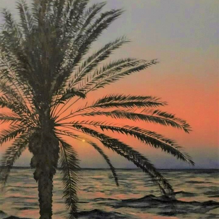Palm Tree in Galilee
