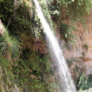 Ein Gedi