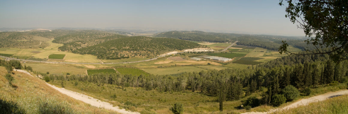 Valley of Elah