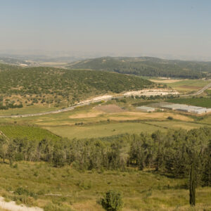 Valley of Elah
