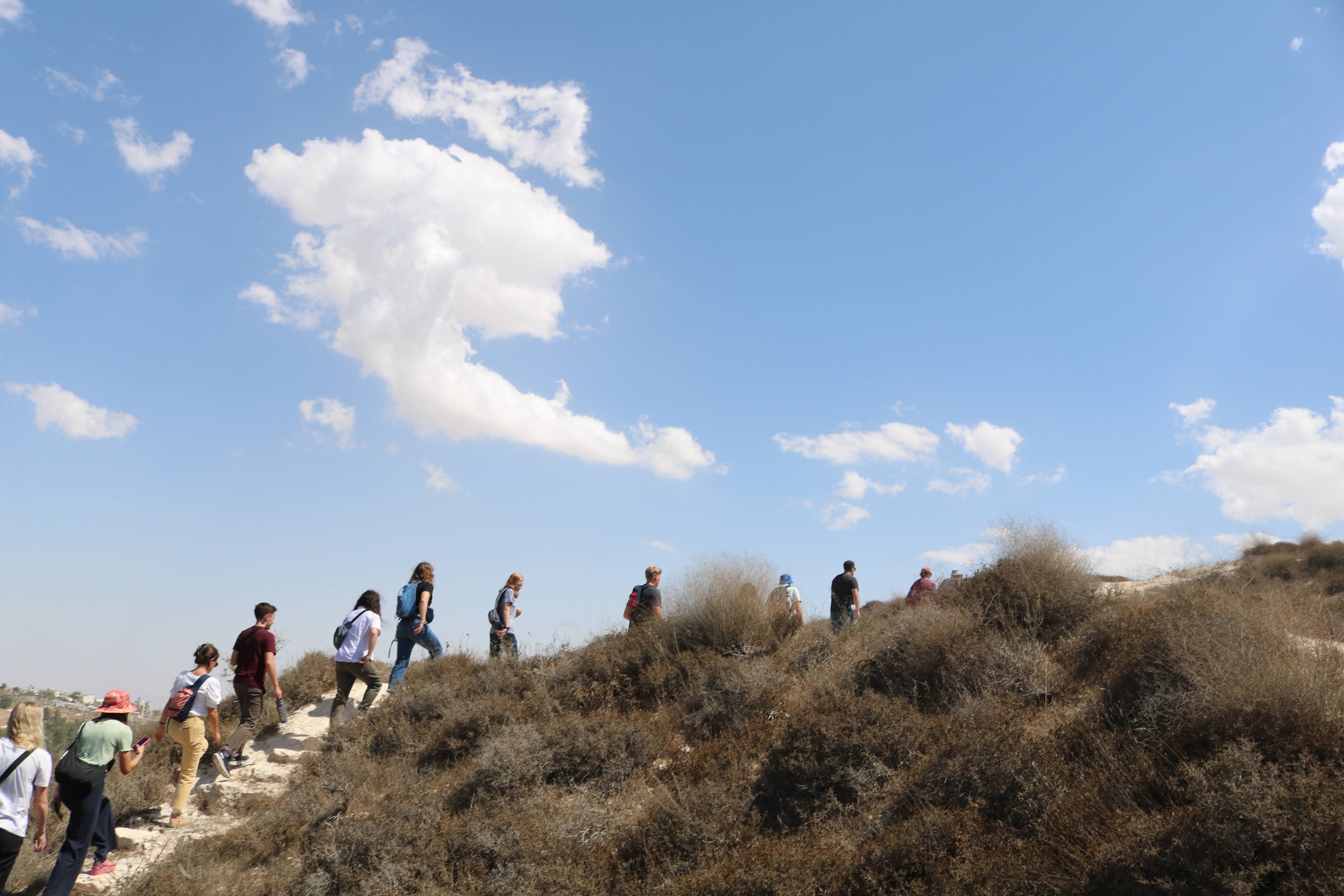 Shepherds field