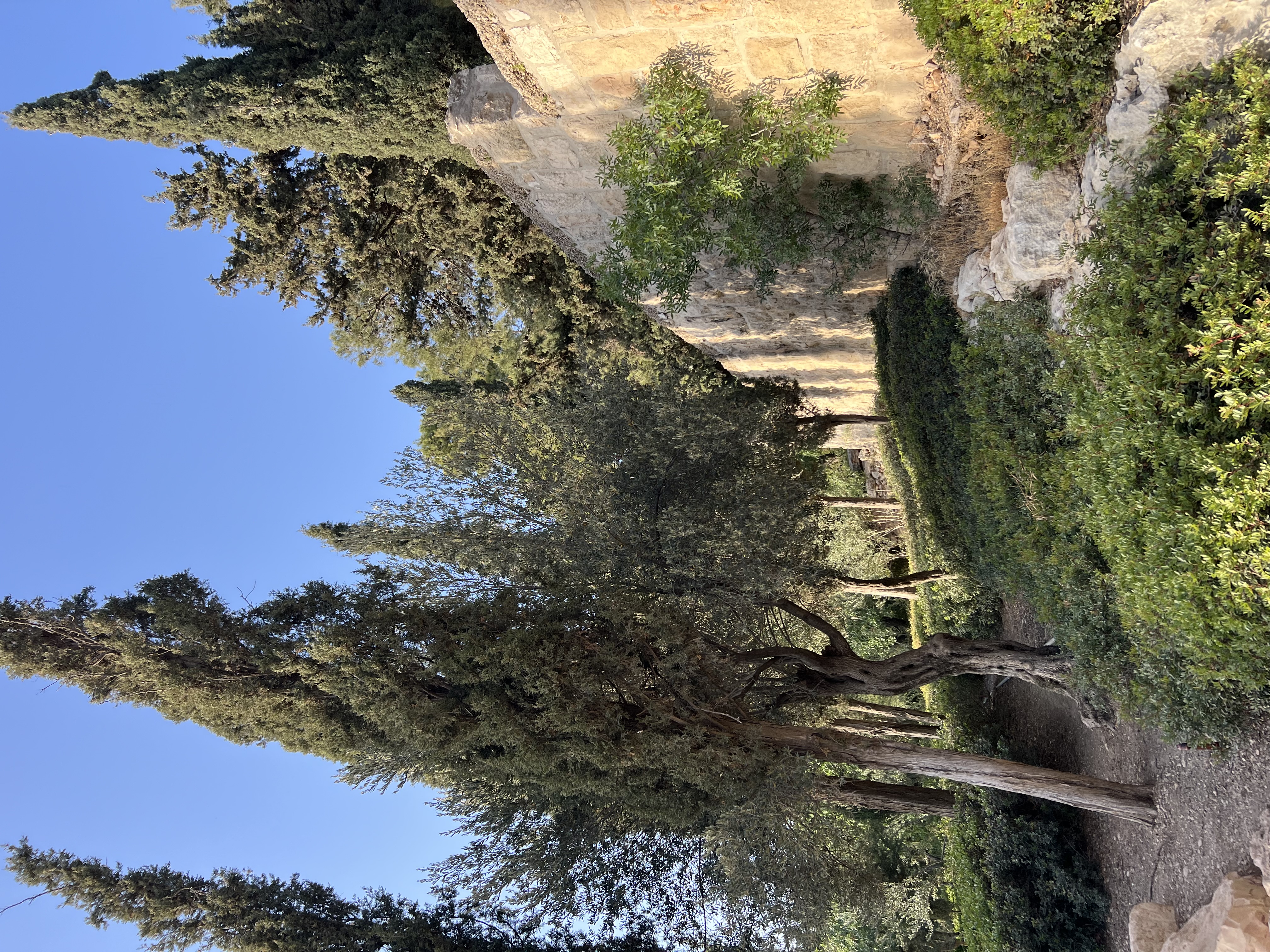 Orson Hyde Garden